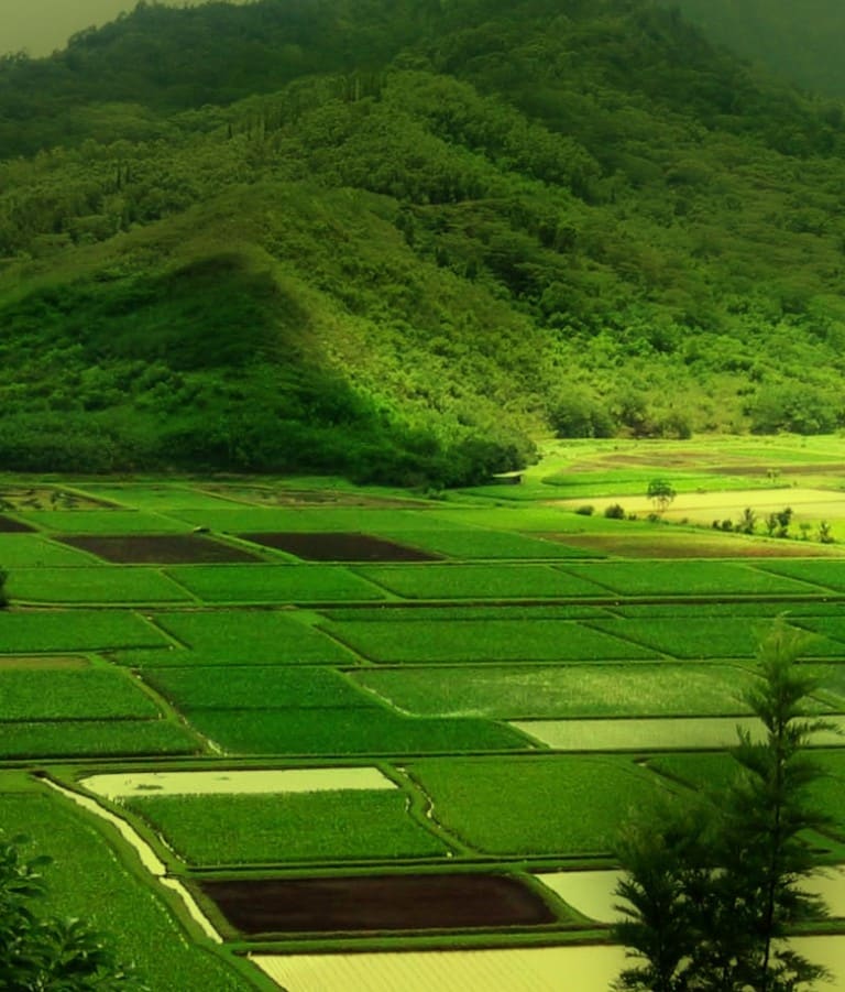 Tips & Resources Royalton Supply Landscape Center