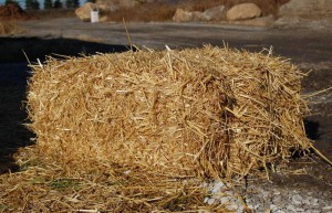 Straw Bales - Royalton Supply Landscape Center