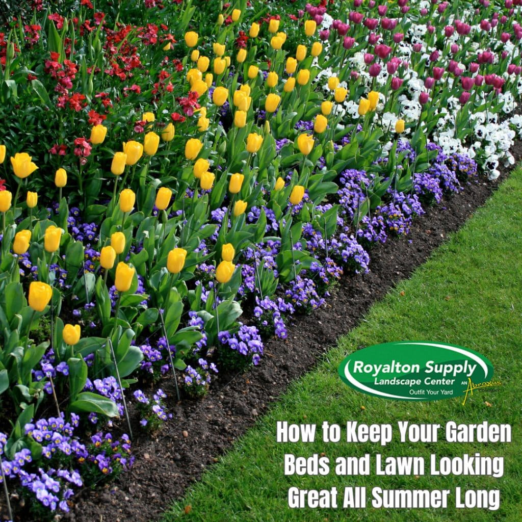 How to Keep Your Garden Beds and Lawn Looking Great All Summer Long