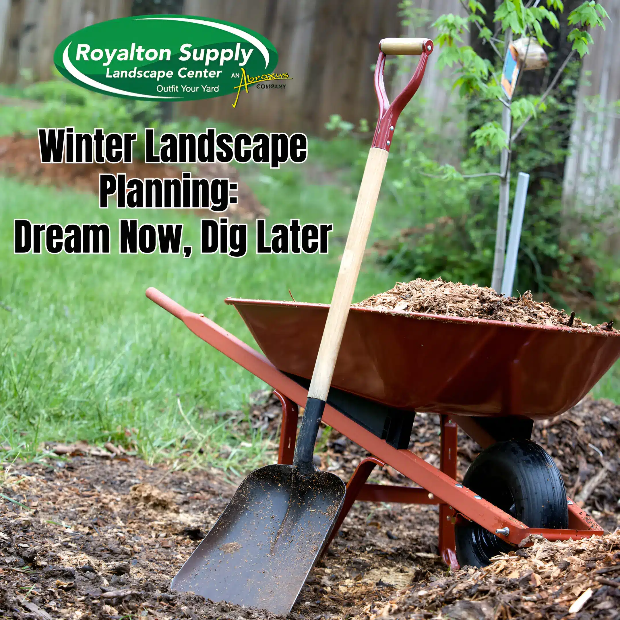 Winter Landscape Planning Dream Now, Dig Later