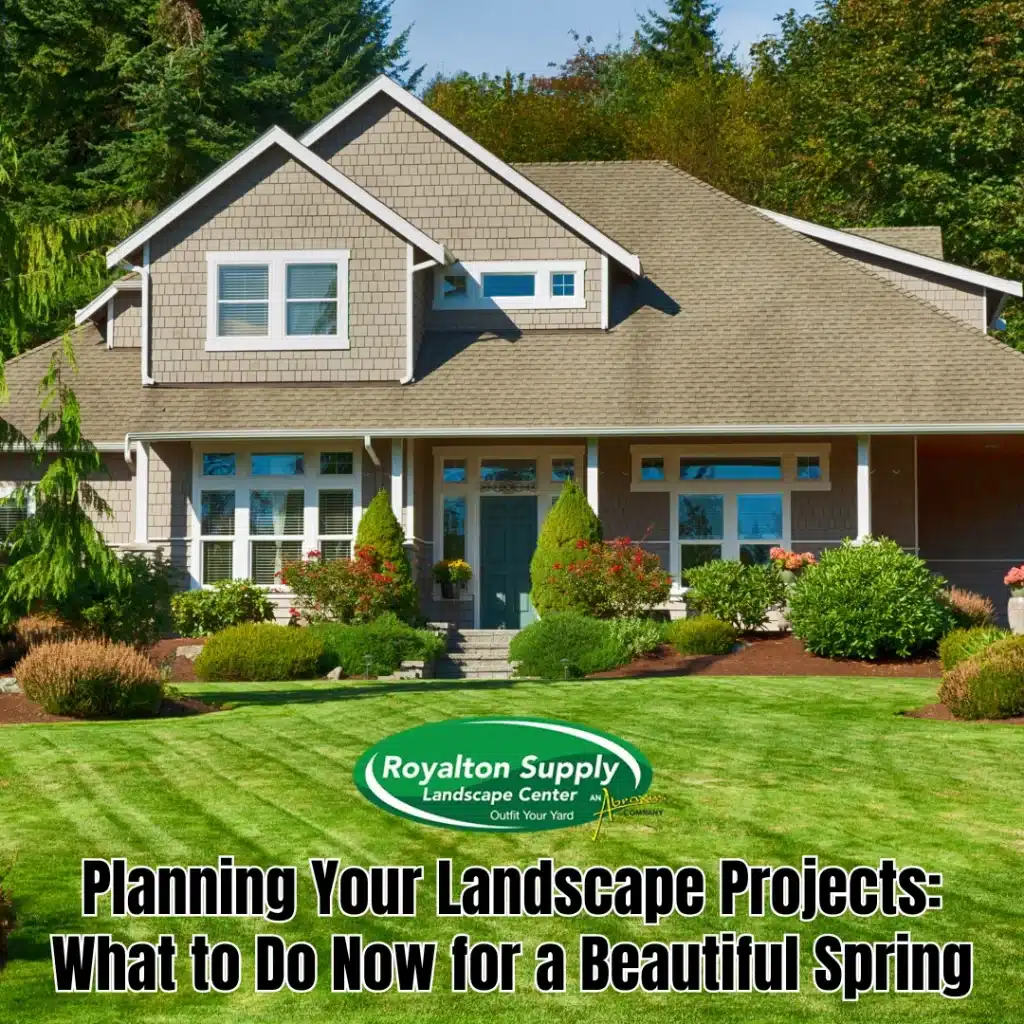 Planning Your Landscape Projects: What to Do Now for a Beautiful Spring