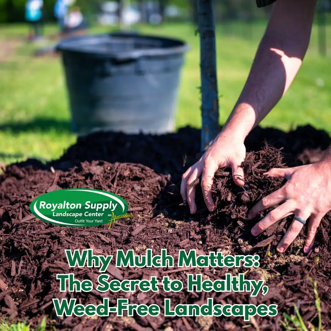 Why Mulch Matters – The Secret to Healthy, Weed-Free Landscapes