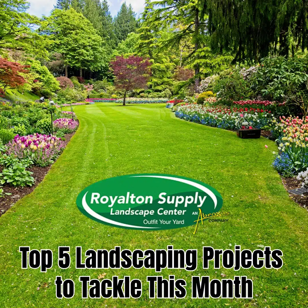 Top 5 Landscaping Projects to Tackle This Month