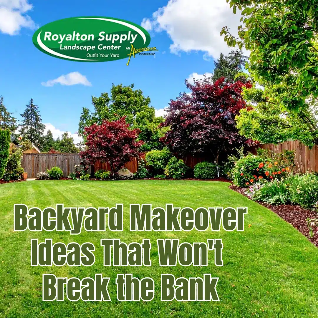 Backyard Makeover Ideas That Wont Break the Bank