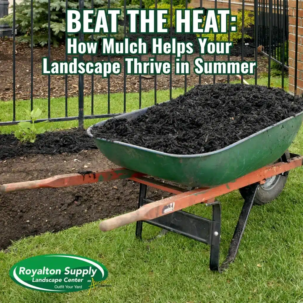 Beat the Heat: How Mulch Helps Your Landscape Thrive in Summer